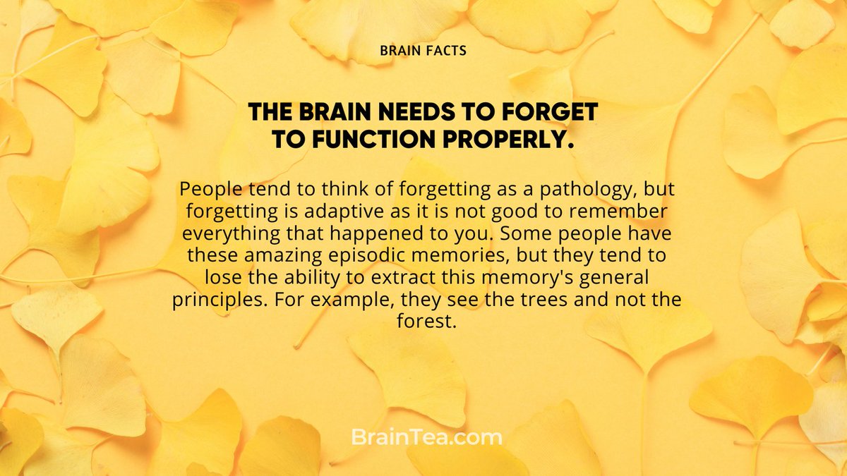 OrganicBoost's tweet photo. The brain needs to forget in order to function properly.
#brainfacts #interestingfacts #braintea https://t.co/L7vorOvvmd