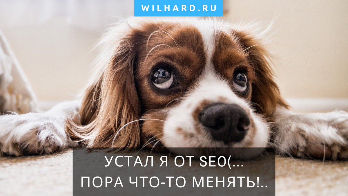 Wilhard.ru | онлайн-бизнес и инвестиции tweet media