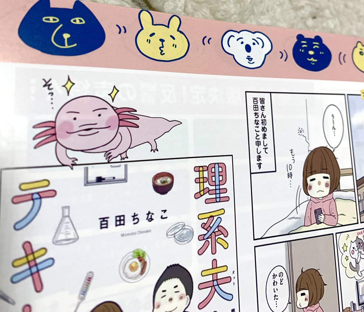 先週入稿したポートフォリオできましたやった〜👏 