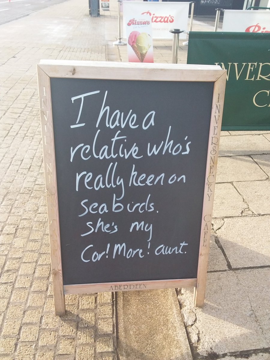 Mr_Inversnecky's tweet image. I can only apologise. #inversnecky #cafeboard #seabirds