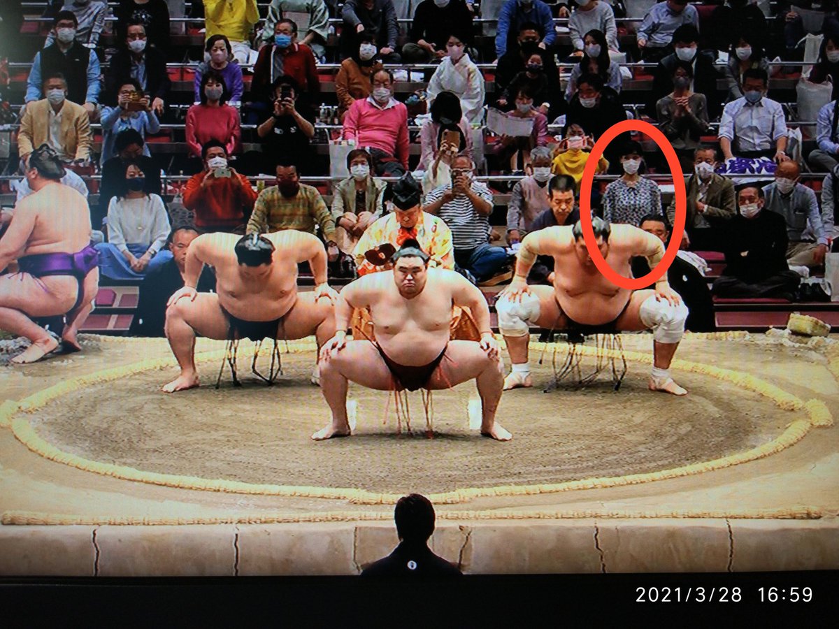 唐山大叔pa Twitter 大相撲 这个美女每次都出现在这个固定位置 偶尔还会被给个镜头 这是谁呢