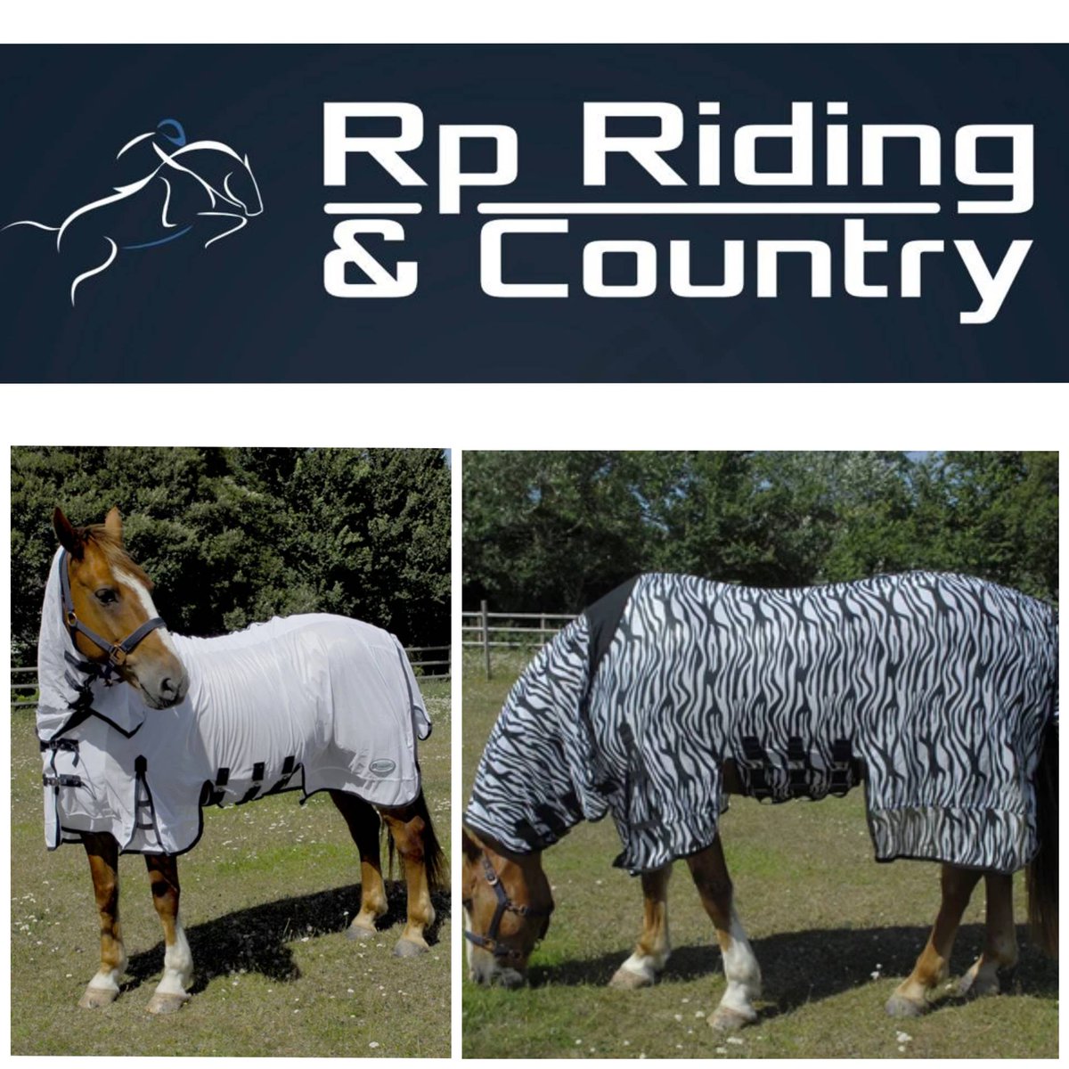 RpRiding's tweet photo. ⚠️NEW PRODUCT⚠️ 
As Spring is officially here, why not check out our fly rugs?! 

https://t.co/kDzoBF8OAb

#rpriding #springishere #spring2021 #flyrugs #horses #newproducts #derbyshire #country https://t.co/D3IyMqRNSt