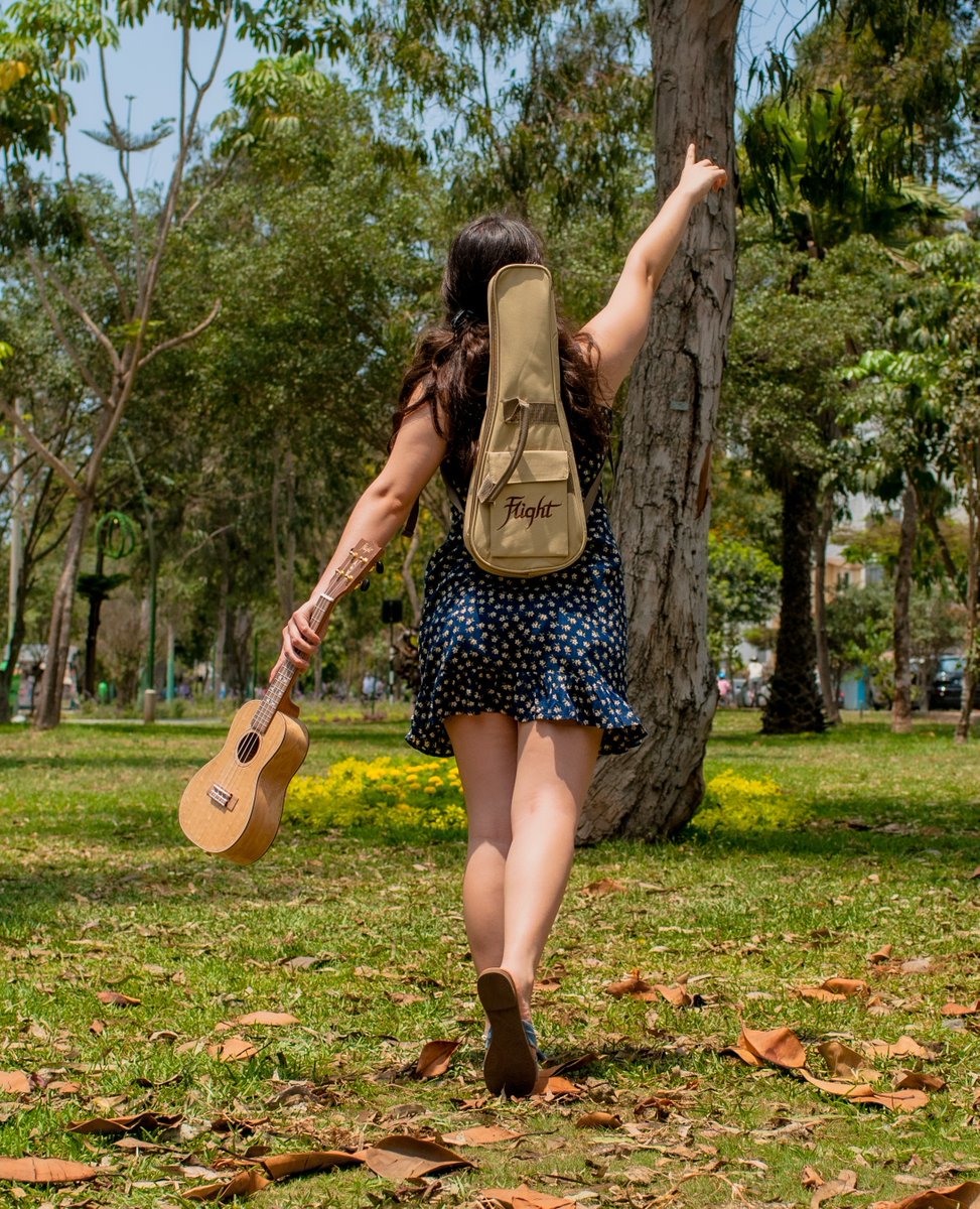 Flightukulele tweet media