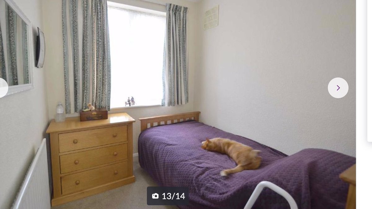 The neighbours just put the house up for sale. Couldn't resist checking it out on Zoopla. 

That's our bloody cat.