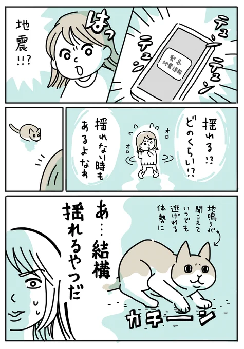地震がきたときのヒト🥺とねこ😼

今までの経験から、ねこが真剣な顔してる時(遠くから地鳴りが聞こえてるんでしょう)は揺れが大きいことが多いです。動物の耳はすごい。
我が家では寝室を降ってくるモノがない&ねこが隠れられる安全地帯にしているので、ヒトもねこもとりあえず避難します🏃‍♀️🐈💨 