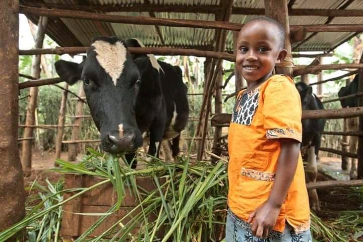 Rwanda Youth In Agribusiness Forum (@ryaf_agribiz) on Twitter photo #Agriculture =========#Livestock
ππππππππ₯π₯π₯¦π₯¬ππ
π»π·πΎπΊππΆπ½πππ΅π±π²π³
πππ¦π¬πππππππππ
#Youth=================#Youth
Retweet if you are a friend of youth doing Agriculture & Livestock in #Rwanda,#Africa ,#Europe & #Asia
#AgricultureLivestockisCool #Agriculture =========#Livestock
ππππππππ₯π₯π₯¦π₯¬ππ
π»π·πΎπΊππΆπ½πππ΅π±π²π³
πππ¦π¬πππππππππ
#Youth=================#Youth
Retweet if you are a friend of youth doing Agriculture & Livestock in #Rwanda,#Africa ,#Europe & #Asia
#AgricultureLivestockisCool