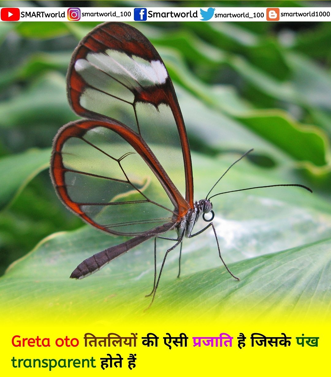 Smart World on Twitter: Smart World on Twitter: