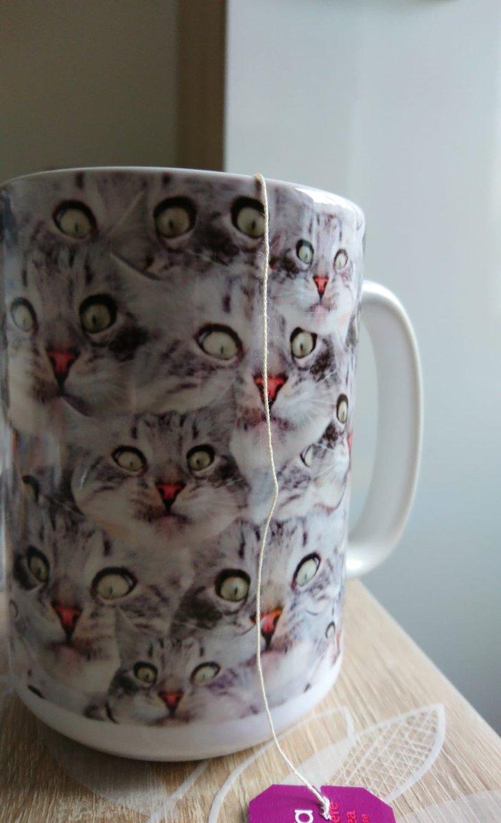 Siare1009's tweet photo. Sometimes the only good thing in life is your mug with the worst picture you've ever taken of your cat https://t.co/0lpKa9DnYU