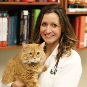 IVIS_Vet's tweet photo. 🐈  The Ascitic Catorganized by   -  Author:  Anderson E.  In: Feline Medicine - Veterinary Focus - Vol. 26(2) -  by Veterinary Focus Updated: FEB 01, 2021    #IVIS #VetFocus 
https://t.co/ZxY5soNey5 https://t.co/3CbRVDbO0C
