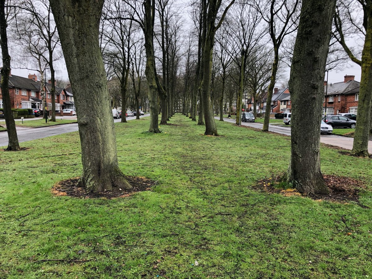 rogerbhx's tweet photo. Litter picking session on Greenwood Avenue this morning. Found and reassembled a litter bin that was looking rather the worse for wear! #AcocksGreenLitterChampions https://t.co/9TeE9ZHKi8