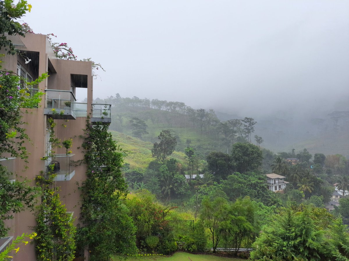NelumSubhashini's tweet photo. .
Am addicted the way I see, am addicted the way I feel, am addicted the way it is... never want leave, yes never.... 
#hapiness #feelings #beautyofnature #beautyoflife #hideout #mountains #mist #rain #centralhills #naturelovers #naturephotography #photography #photographylovers https://t.co/czfUpjKHE9