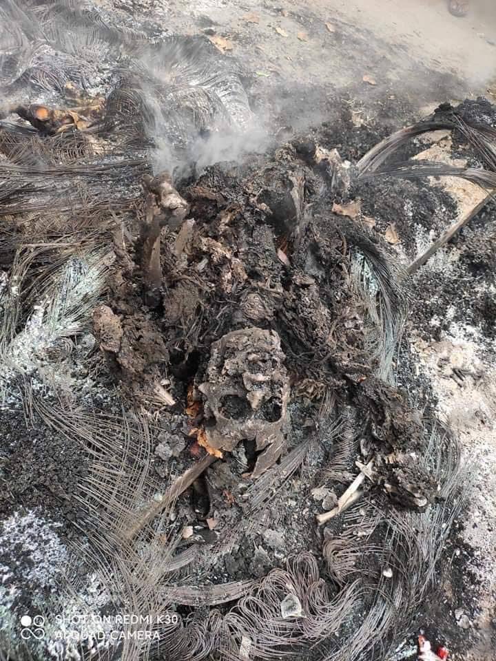 MhonePoe's tweet photo. @shafiur Tw // death 
Mandalay: One onlooker civilian who was just looking outside when terrorists approached the ward, was burnt alive last night. Such an appalling cruelty towards innocent citizens. #WhatsHappeningInMyanmar #Mar28Coup https://t.co/1aqjuswzMv