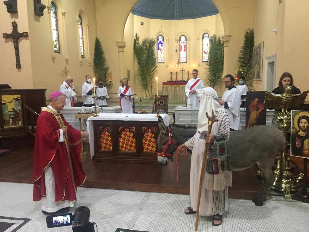 And our apostolic donkey deserved some honouring with incense at the end of the procession!