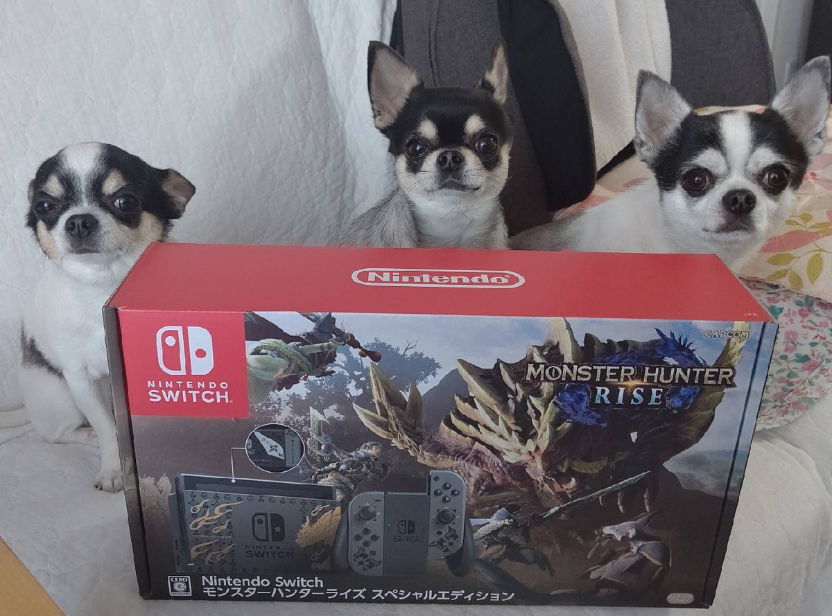 ぶちょお ヴィーナスギャラリー 届いたと連絡あり モンスターハンター 我が家のケルベロス モンスターハンターライズ 犬 ニンテンドースイッチ チワワ ぶちょお ヴィーナスギャラリー 届いたと連絡あり モンスターハンター 我が家のケルベロス モンスターハンターライズ 犬 ニンテンドースイッチ チワワ