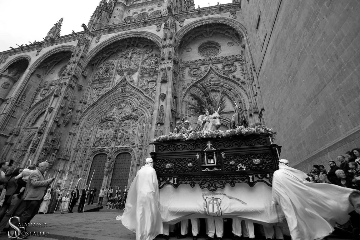 salamancacostal's tweet photo. Feliz Domingo de  Ramos @VirgendelaPalma https://t.co/vR90M1rN6H