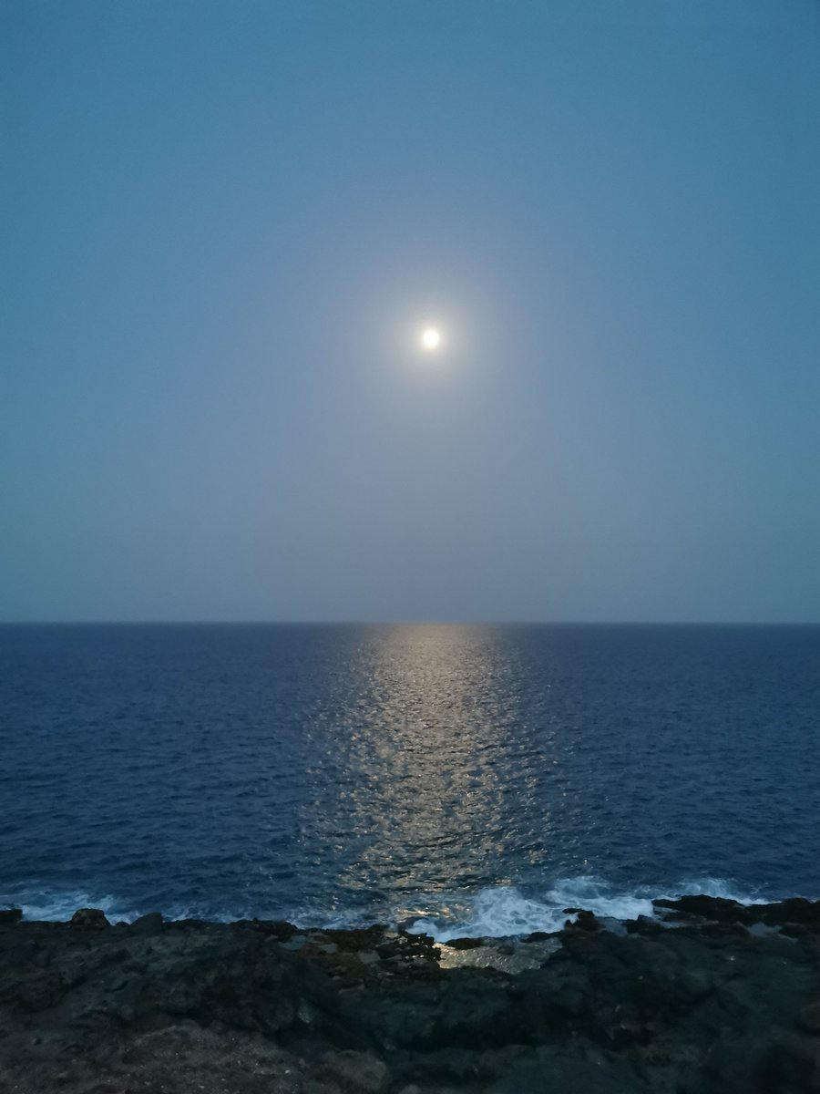 ale2317's tweet photo. https://t.co/rS55kTS69I