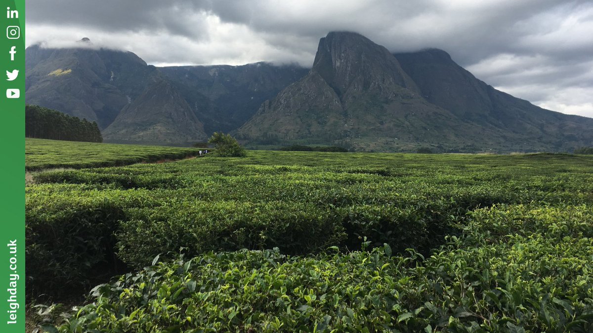 Leigh Day International tweet media