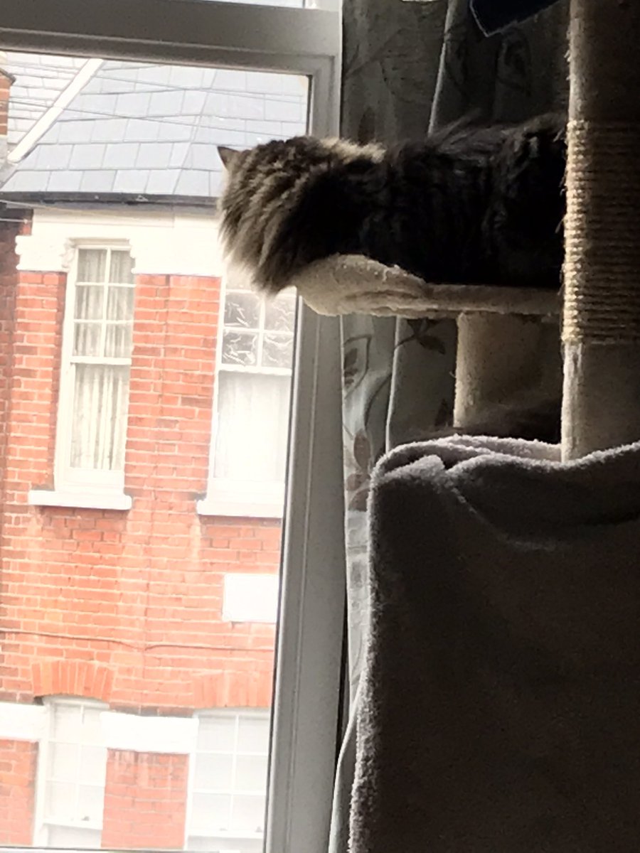 FourMogs tweet picture