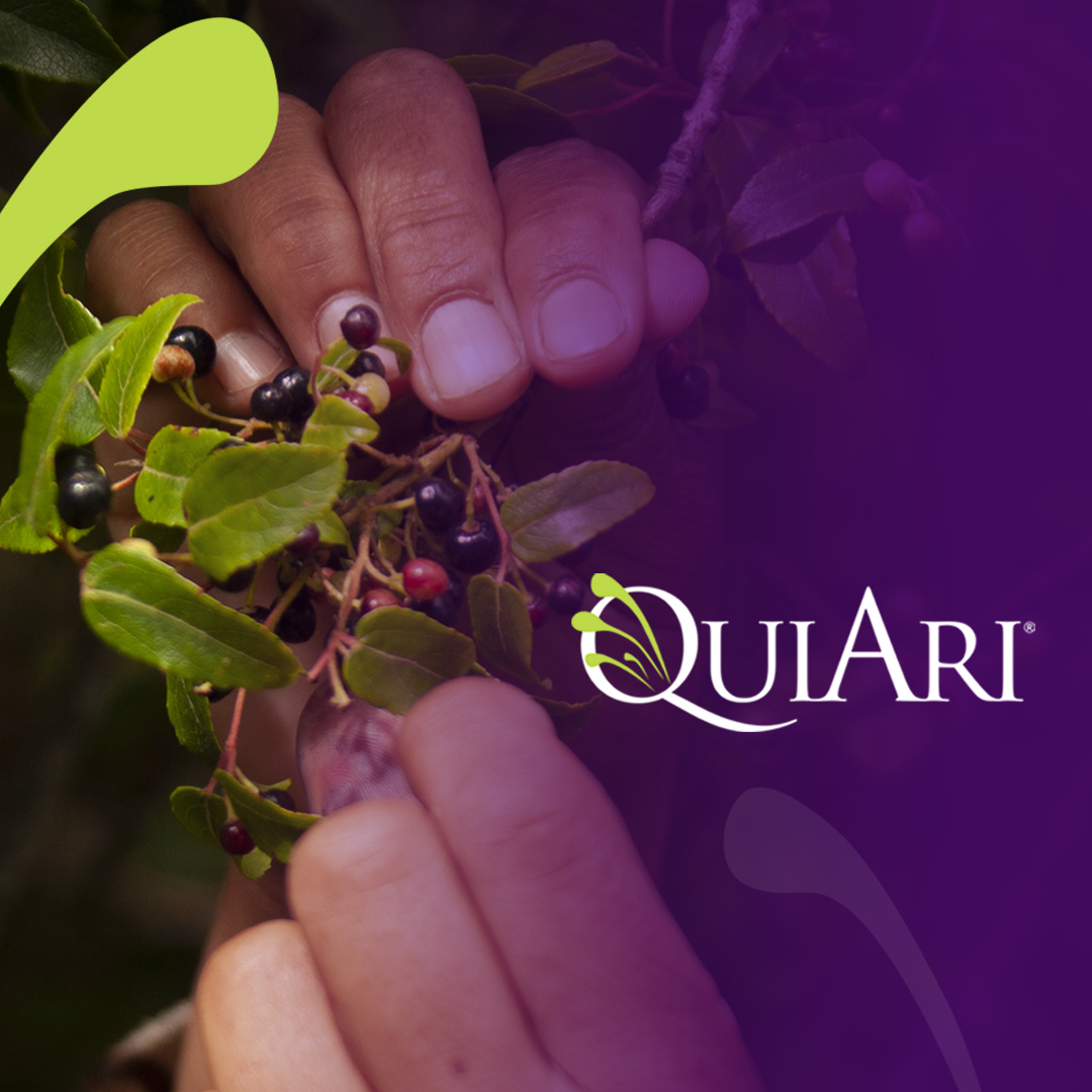 QuiAriOfficial's tweet photo. Hand-picked to perfection.

Packed with antioxidants, vitamins, and minerals, Maqui is here to help you feel fueled for whatever the day brings.

QuiAri is the first to bring Maqui to the international marketplace and we are helping to change lives everyday.

Try. Love. Share! https://t.co/qeXAYq9VTH