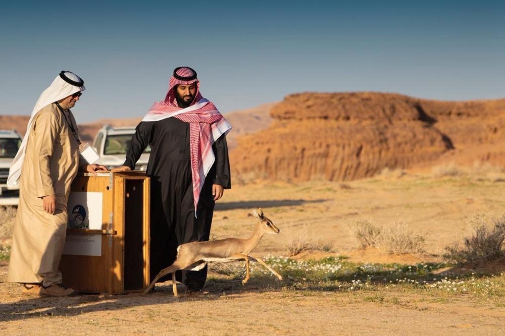 SaudiProject's tweet photo. مبادرة #السعودية_الخضراء التي دشنها سمو #ولي_العهد، تشتمل على خطة لتحويل أكثر من 30% من أراضي السعودية إلى محميات طبيعية

#ولي_العهد_في_2021 https://t.co/dlsUaKedqy