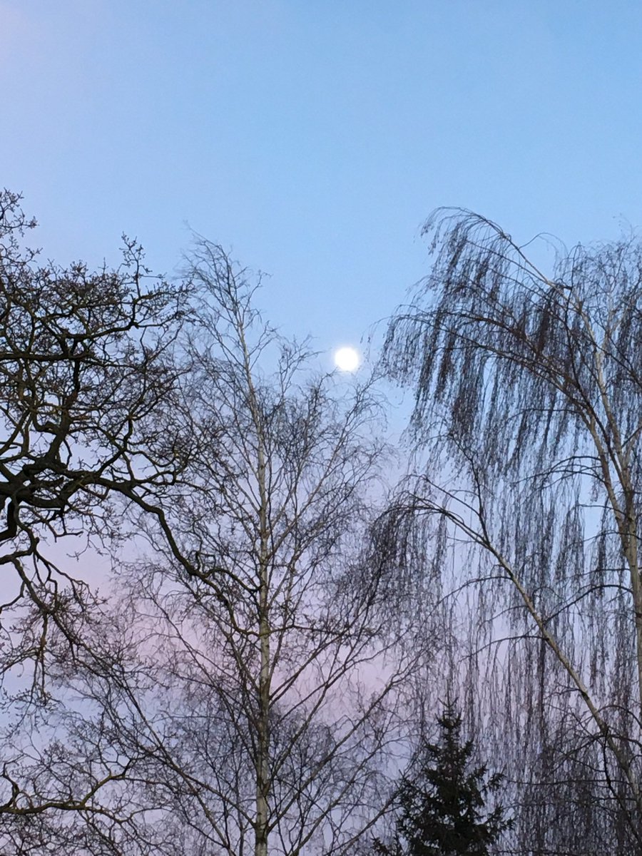 RoseMSaliba's tweet photo. Happy full worm moon day (19:48 BST) - blowy here https://t.co/80MN3epMHI