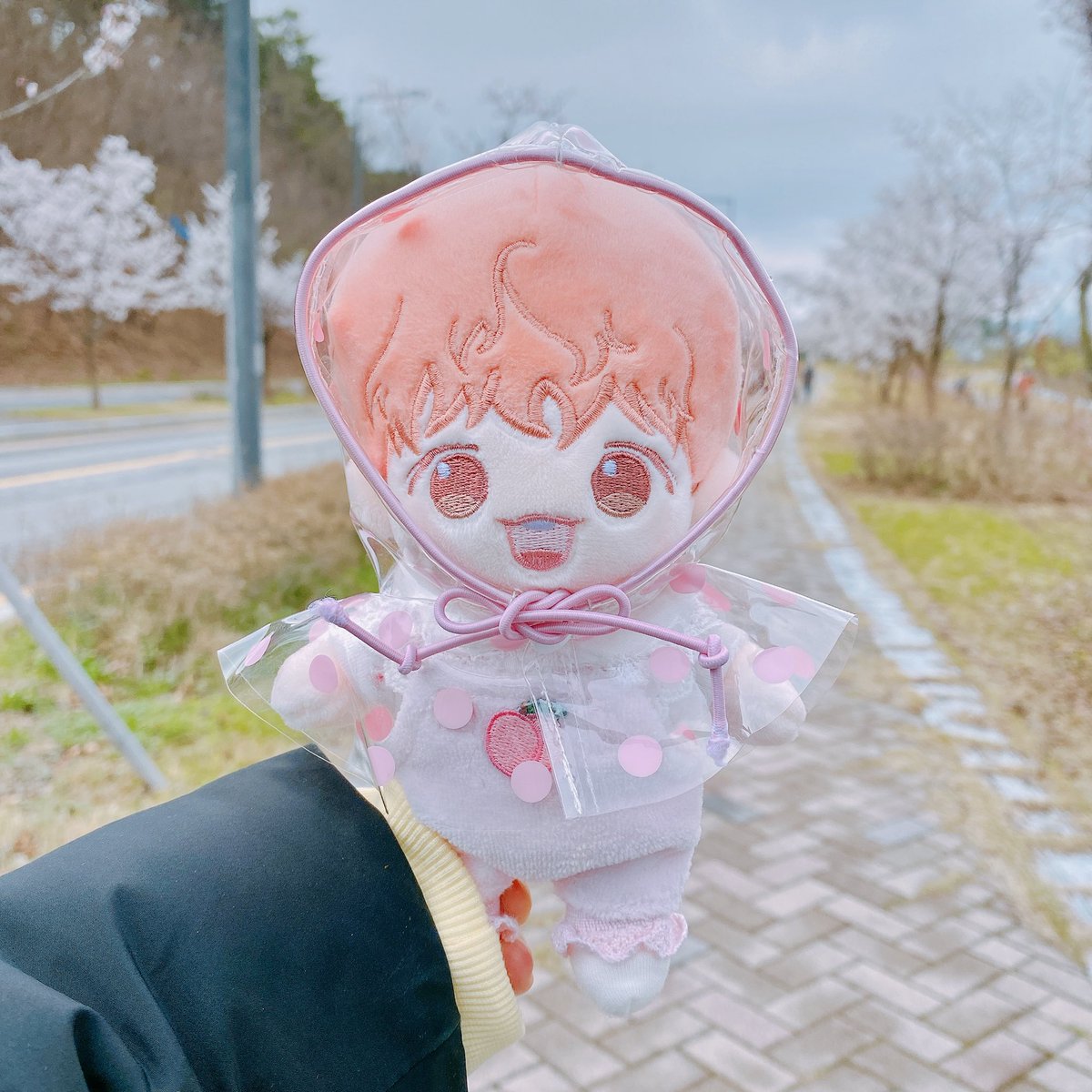 𝗠𝗜𝗡𝗖𝗛𝗢🧸 tweet media