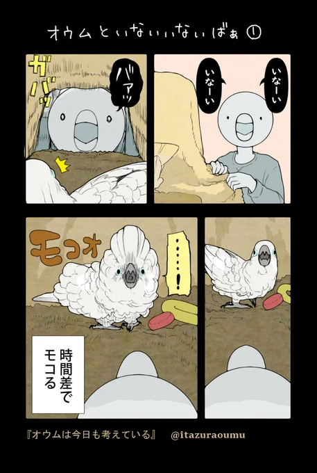 オウムと いないいないばぁ ! 