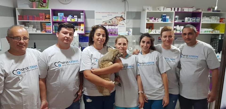Pawprints2F's tweet photo. We are massively grateful to the wonderful team at the Bucharest vet practice who support our Spay Campaign. We've just had the wonderful news they've completed 30 spays this month.
#spay #spayathon #neutered #RESCUED #RescueDogs #SundayMotivation #dogsoftwitter #dogs #cats https://t.co/8ovxuDuUM3