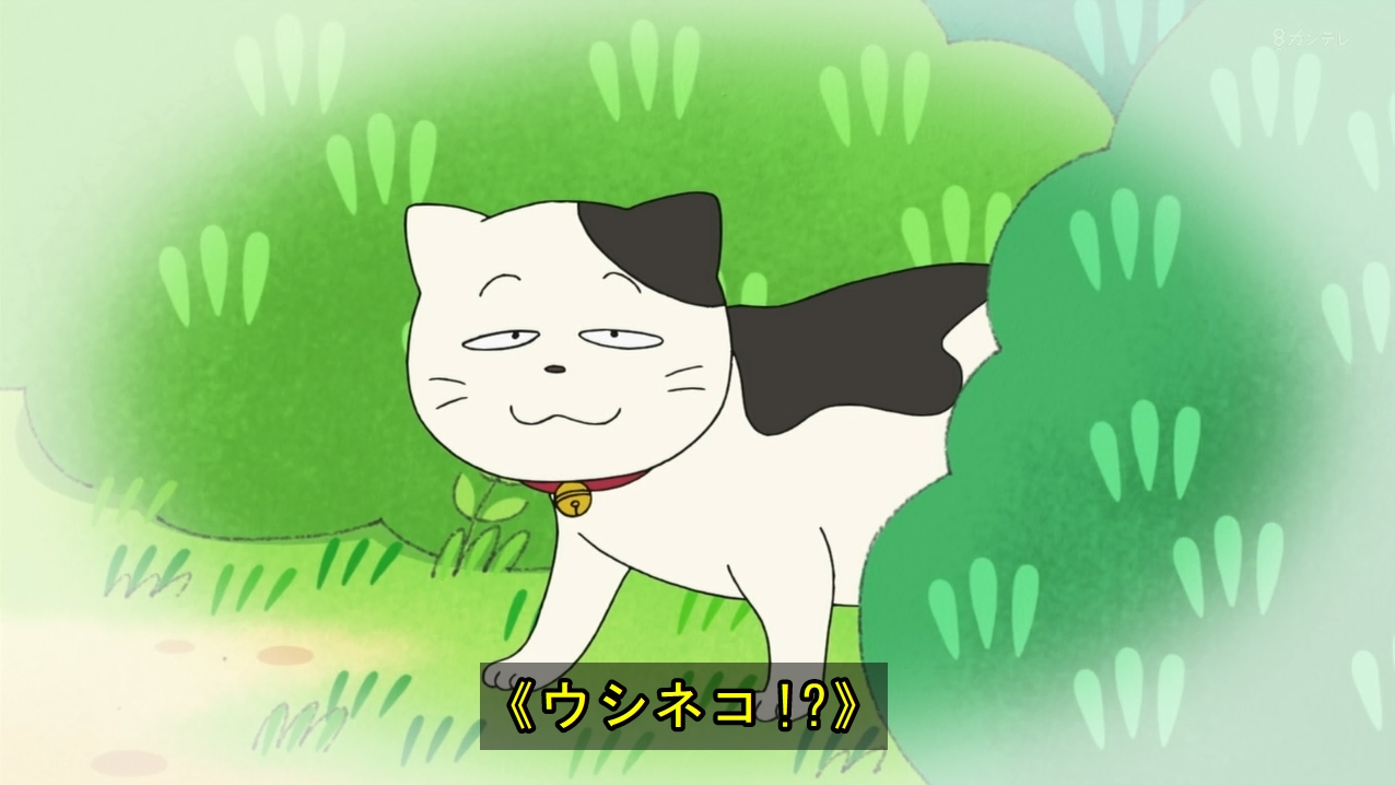 カピバラ アルパカ アルバラ8 あの顔がブサイクな猫か ちびまる子ちゃん カピバラ アルパカ アルバラ8 あの顔がブサイクな猫か ちびまる子ちゃん