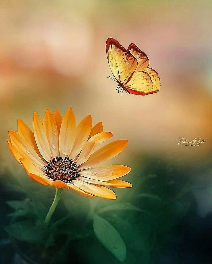 الوعِي في العقل وليس في العمر، العمر مُجرد عدد لأيامك والعقل حصاد فهمك وقناعاتك للحياه.