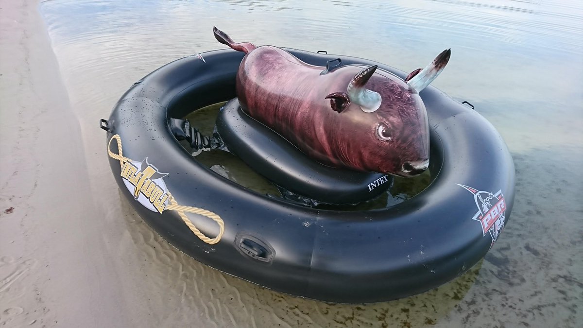 Rowan707inflata's tweet image. Inflatable bull riding time.
#inflatablebull #pooltoy #opblaasbaar