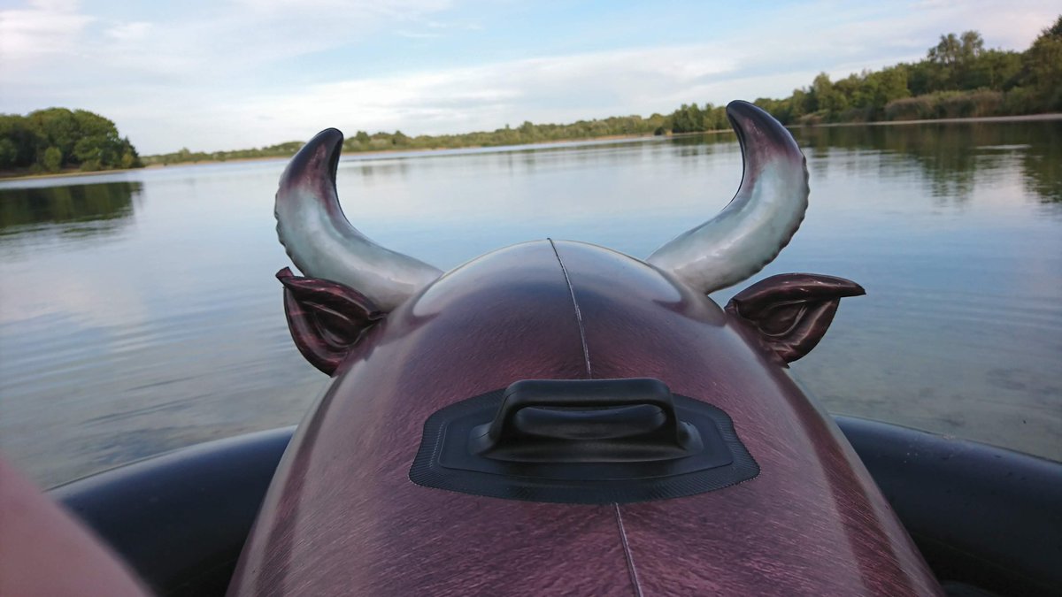 Rowan707inflata's tweet image. Inflatable bull riding time.
#inflatablebull #pooltoy #opblaasbaar