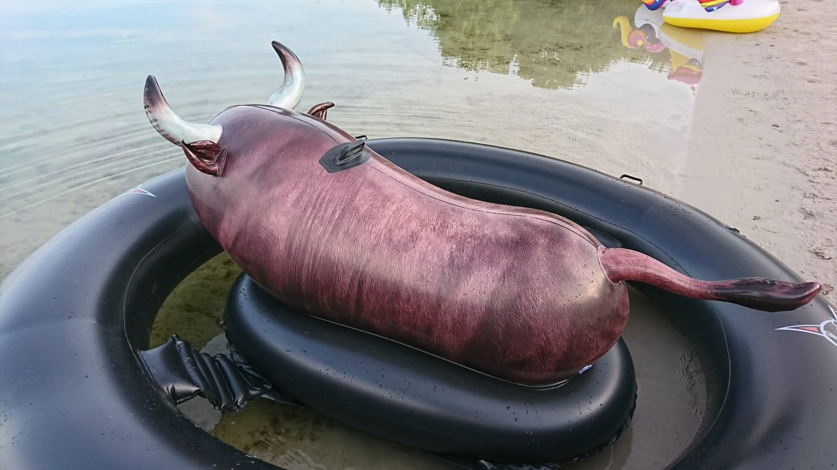 Rowan707inflata's tweet image. Inflatable bull riding time.
#inflatablebull #pooltoy #opblaasbaar