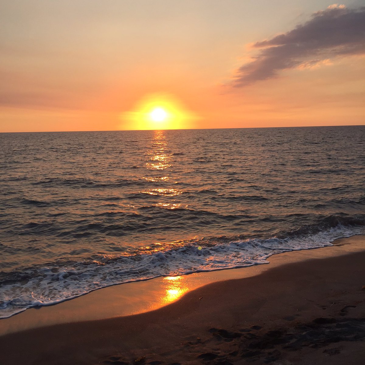 katheleeyn's tweet photo. You can find me where the sand meets the water 🍃 https://t.co/zK5iB1cr4J