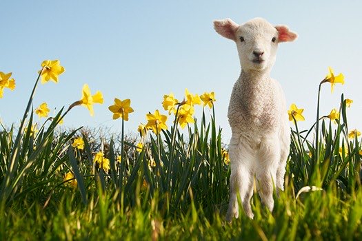 mia_elturk's tweet photo. Ready or not. Here comes Spring 😷#Hello_spring https://t.co/C2F0otIhfQ