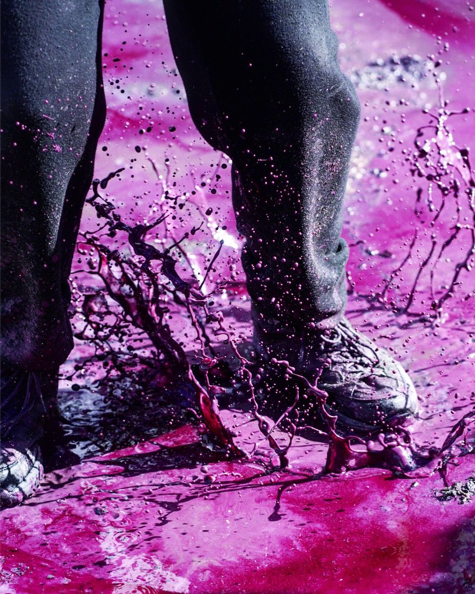 Getting muddy is so much prettier when it’s Shiraz flavoured mud 🍷

#v21
<a href="/canberrawines/">Canberra Wines</a>