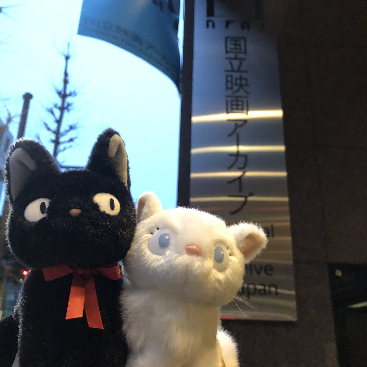 魔女の宅急便 最新情報まとめ みんなの評価 レビューが見れる ナウティスモーション 16ページ目