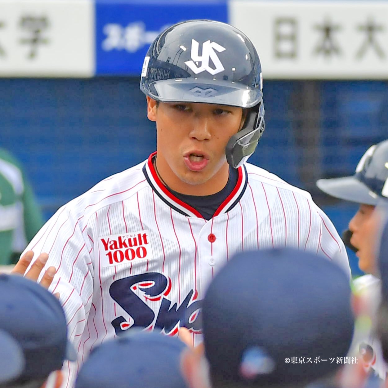 ヤクルトスワローズ 復刻版　野村克也　73 ユニフォーム ヤクルトスワローズ 復刻版 野村克也 73 ユニフォーム