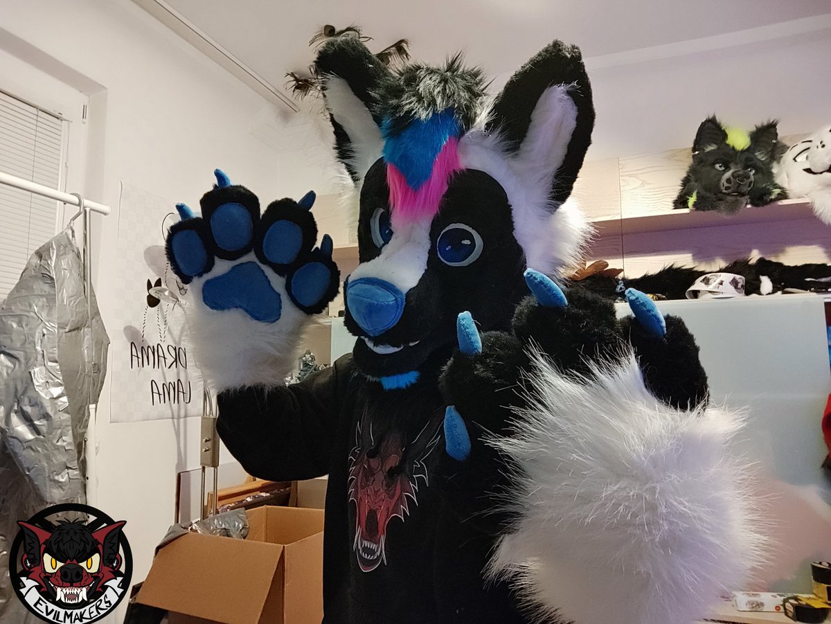 And some pictures with head and paws together !
Loving these colors they go together so well. 

Today bodysuit starts !

#furry #fursuit #fursuitmaker #paws