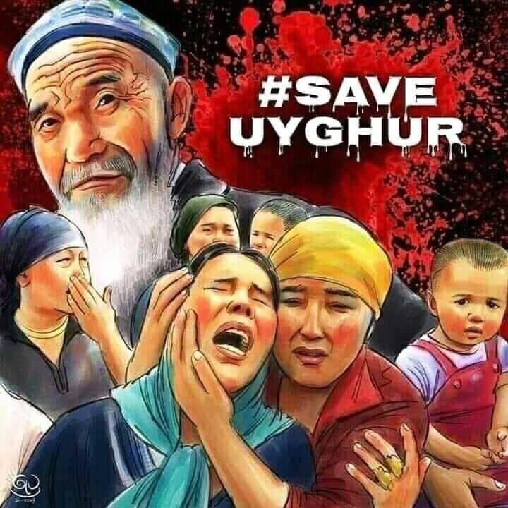 Religion of Peace tweet media