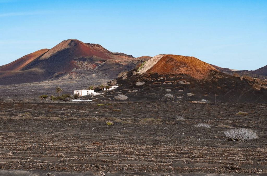 TurismoLZT's tweet photo. 7 planes para redescubrir #Lanzarote en #SemanaSanta 
Tenemos por delante unos merecidos días de descanso y vamos a aprovecharlos.  ¿Sabes cómo?
Te lo contamos en el blog 👇
💡📰https://t.co/tsFV3yXi3g
#LoveLanzarote #LatituddeVida #VisitSpain https://t.co/1pgnGoPujQ