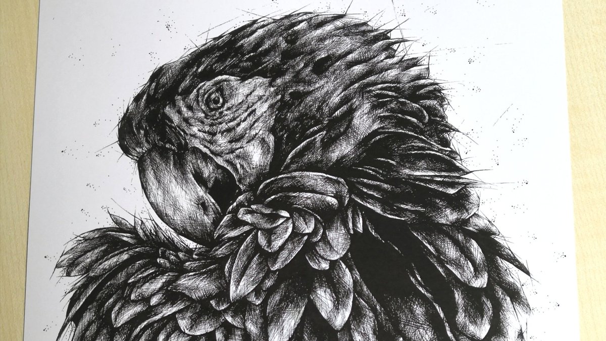 Something a bit different my daughter is a young artist and has decided to sell some art so we made some prints of these they are £15 + postage original was done in fineliner contact me for more info.

#UKGiftAM #art