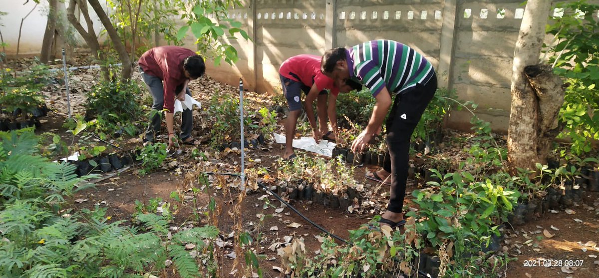 ReedowCharity's tweet photo. இன்று காலை நமது மரக்கன்றுகளுக்கான நாற்றாங்காலில் பராமரிப்பு களப்பணிகள் நடைபெற்றது இந்த நாற்றாங்கால் வணிக நோக்கமற்றது.இது நாம் வாழும் நிலத்தின் பசுமையை,பல்லுயிரிய வளத்தை, மனிதர்களின் ஆரோக்கியத்தை மேம்படுத்தும் வகையில் உருவாக்கப்பட்டு வருகிறது.
வாருங்கள்!நமது நிலத்தை மேன்மைபடுத்த.. https://t.co/ahUG8nQgfK