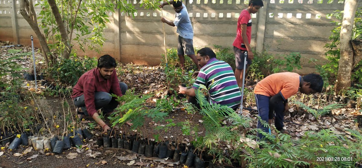 ReedowCharity's tweet photo. இன்று காலை நமது மரக்கன்றுகளுக்கான நாற்றாங்காலில் பராமரிப்பு களப்பணிகள் நடைபெற்றது இந்த நாற்றாங்கால் வணிக நோக்கமற்றது.இது நாம் வாழும் நிலத்தின் பசுமையை,பல்லுயிரிய வளத்தை, மனிதர்களின் ஆரோக்கியத்தை மேம்படுத்தும் வகையில் உருவாக்கப்பட்டு வருகிறது.
வாருங்கள்!நமது நிலத்தை மேன்மைபடுத்த.. https://t.co/ahUG8nQgfK
