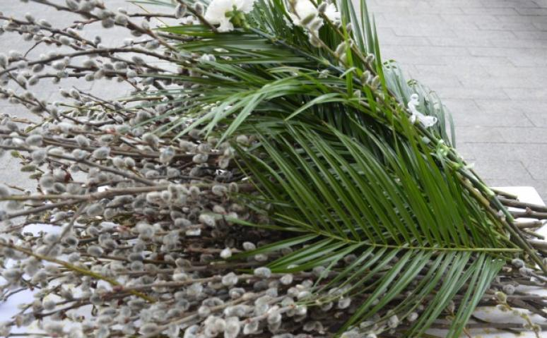 Kellemes Virágvasárnapot kivánok  mindenkinek😍😍                             Fotó: martinus.hu