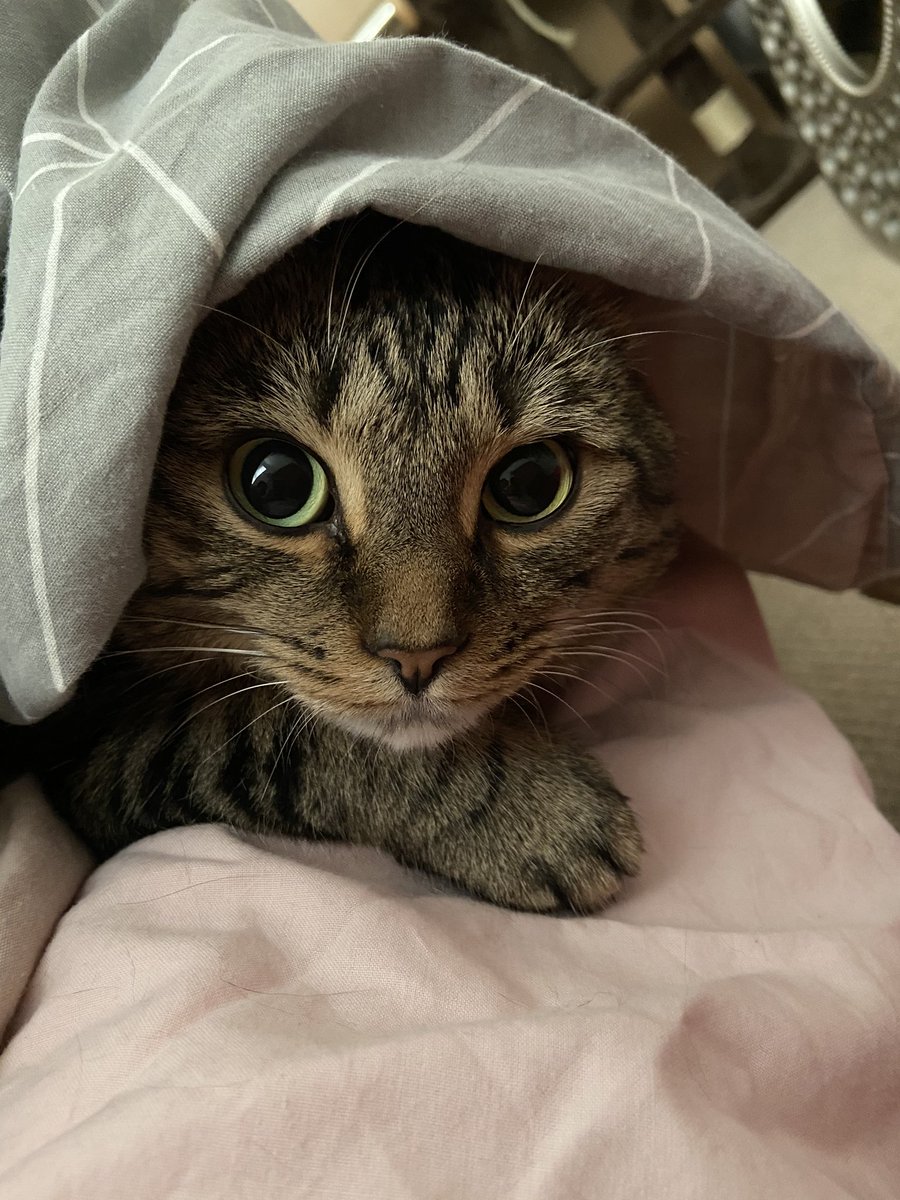 Sunday cuddles!! 🐻🧸❤️🧸🐻❤️