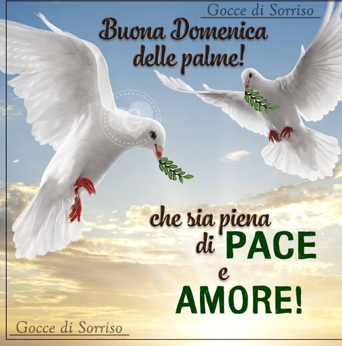 Francesca D'ACQUINO tweet media