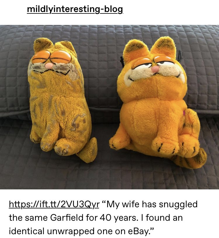 dogsnorted's tweet image. can’t sleep thinking about well loved Garfield plushie