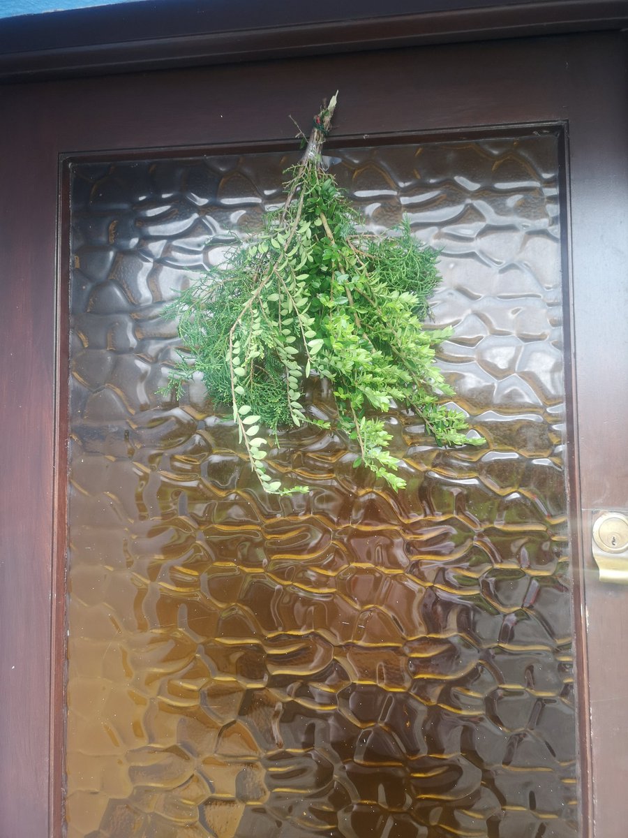 mairinbyrne's tweet image. Day 87 #100daysofwalking gathered some greenery on the way home for #holyweekathome #hosanna #PalmSunday2021 @KANDLEi