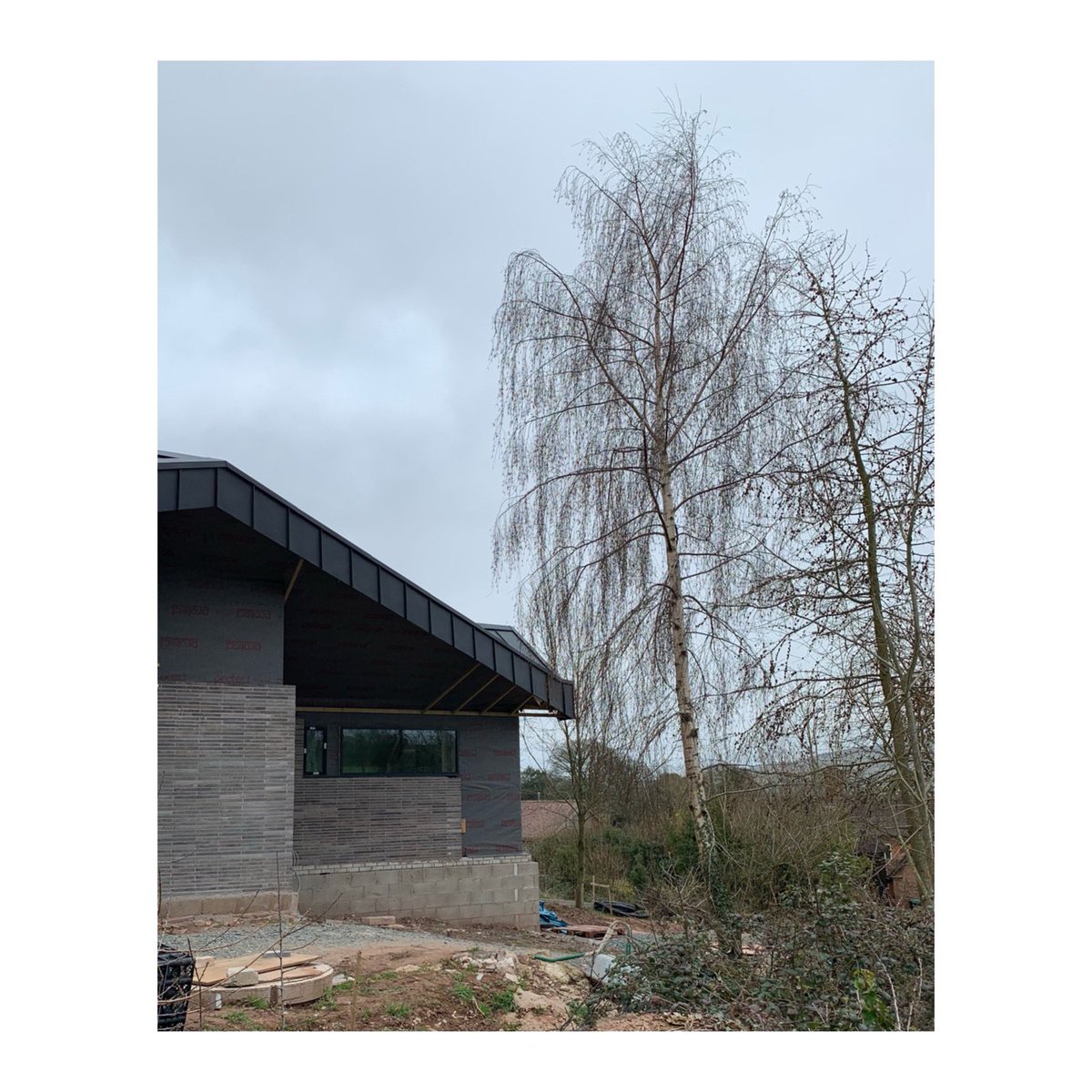 formformarchitects tweet media